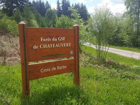 Forêt de Châteauvert