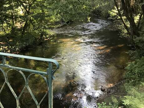 Chemins de traverse (variante de 7 km)