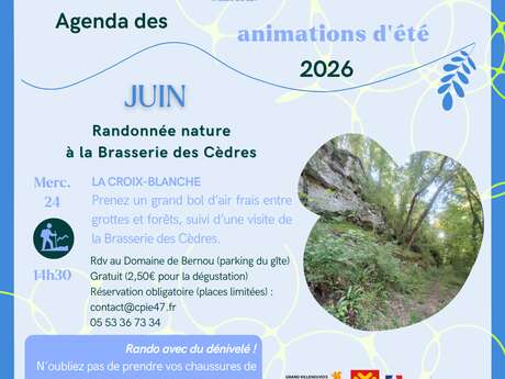 Randonnée nature à la Brasserie des Cèdres