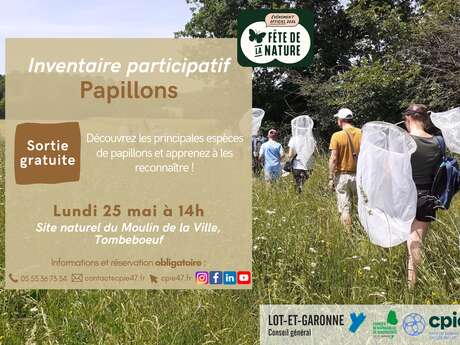 Initiation naturaliste : à la découverte des papillons !