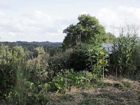 Faire sa mare naturelle