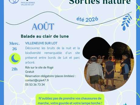 Balade au clair de lune