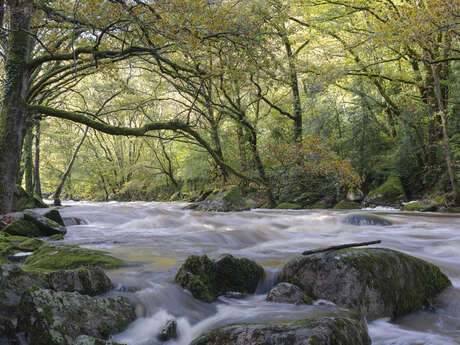 Exposition photographie " Couleurs d'automne et ambiance hivernale dans la vallée des peintres"