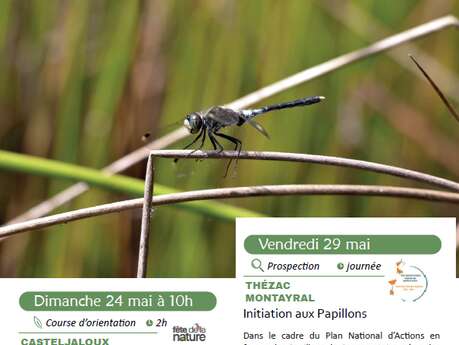 Initiation aux Papillons