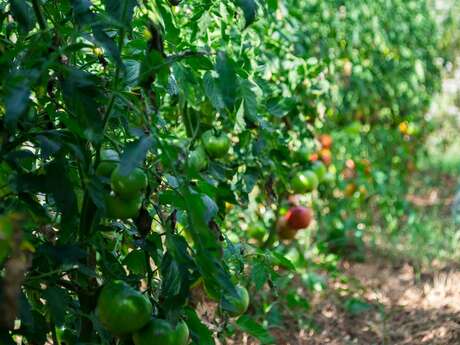 La Ferme de l'Ancien