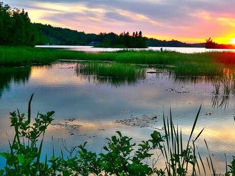 Balade nature : Préventions des tiques