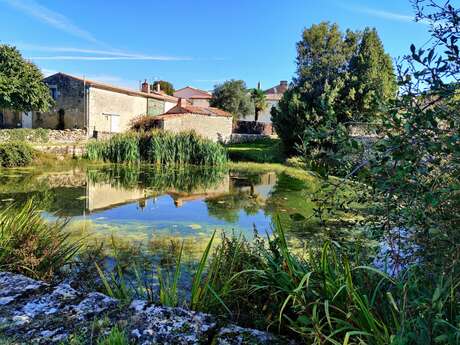 Parcours découverte : Tressauve