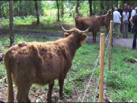 Découverte du Parc de Gombaut