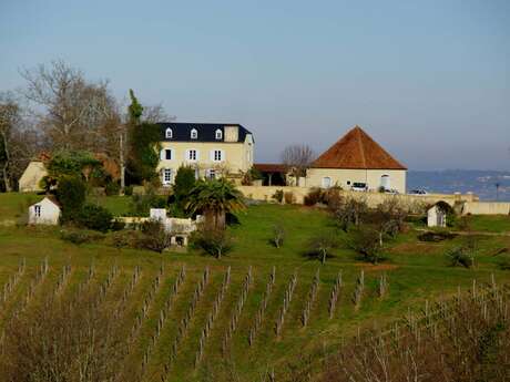 Domaine Vignau La Juscle