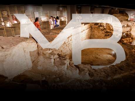 Musée de Borda et Site antique