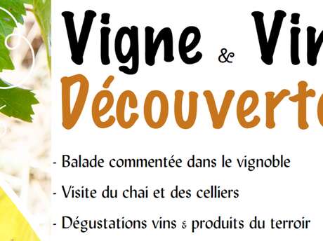 Vigne et vin découverte | Domaine du Siorac