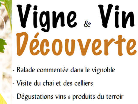 Vigne & vin découverte | Domaine du Siorac