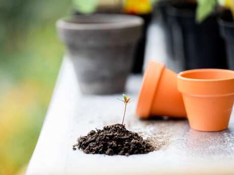 Petits chantiers au jardin