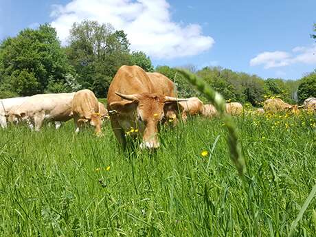 Ferme de Charchenay