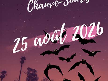 La Nuit Internationale de la Chauve Souris