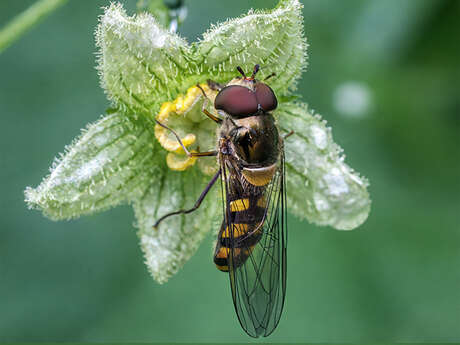 Exposition Photo Pascal Lebon