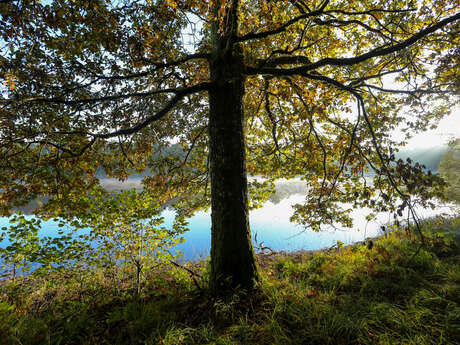 Les étangs du Doustre