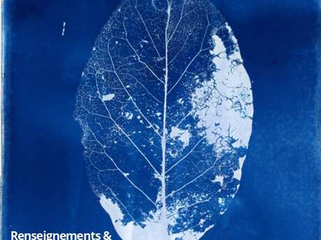 Atelier Cyanotype