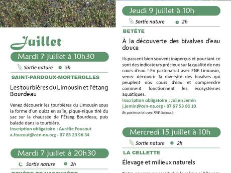 Sortie Nature