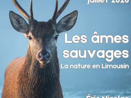 Exposition Les Ames Sauvages, la Nature en Limousin