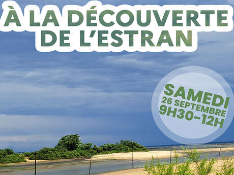 À la découverte de l’estran
