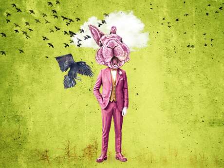 Anatomie d’une illusion