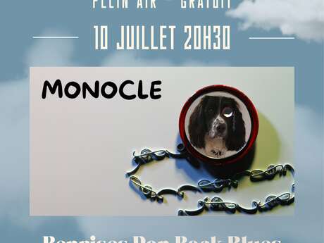 Le chat qui pète - Concert
