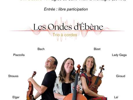 Concert Les ondes d'ébène
