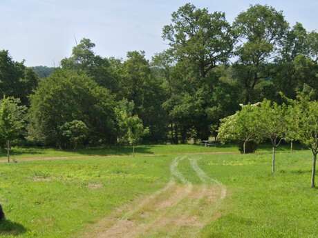 Aire de pique nique - Adriers