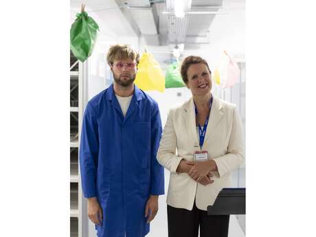 Archives au grand jour