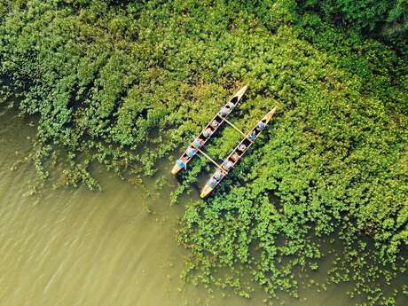 Balade nature en pirogue hawaïenne