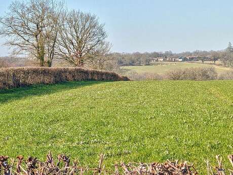 Balade nature "Le bocage dévoilé : nature préservée et géologie" à Luchapt