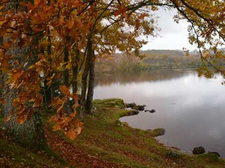 Boucle Locale N°53 Masgot, village sculpté et l'église décorée de Sous-Parsat