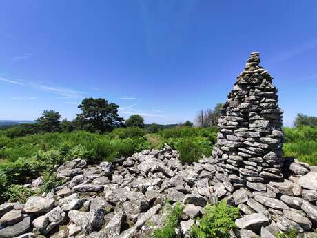 Le Puy de la Besse, site des roches brunagères