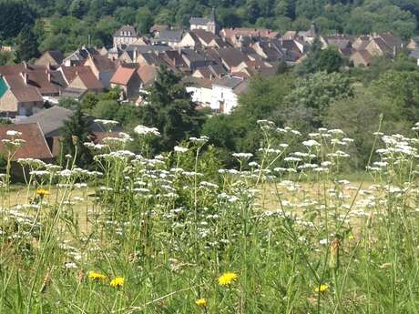 GRP® - Boucle du Franc Alleu - Etape 1 - De St Silvain Bellegarde à Champagnat