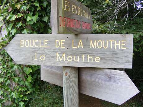 Boucle de la Mouthe n°13 / Les Eyzies