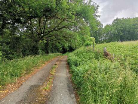 Boucle Locale N°50 Saint Dizier Leyrenne et la vallée du Thaurion