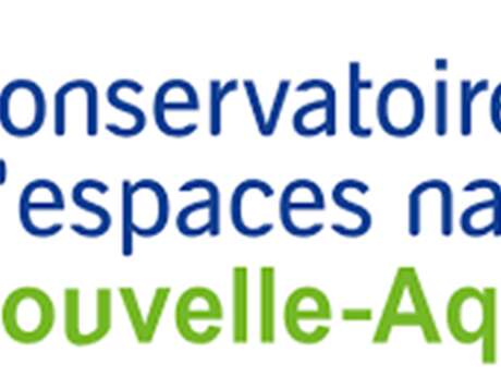 Animation nature : Partez à la recherche des papillons