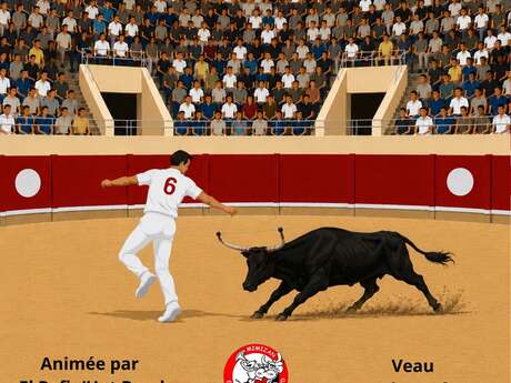 Concours de cocarde