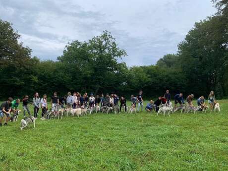 Husk'in Creuse : Cani Rando