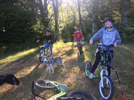 Husk'in Creuse : Cani Trotinette