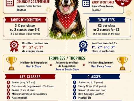Concours canin amusant