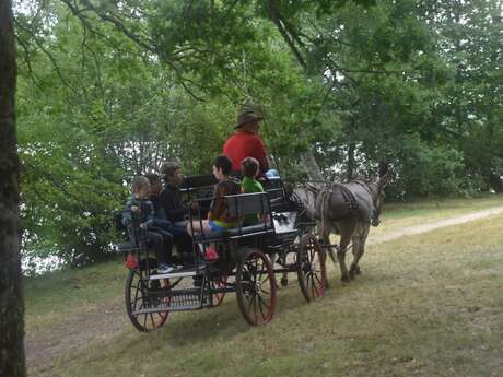 Fête de la Myrtille - 12ème édition - Lac de Vassivière