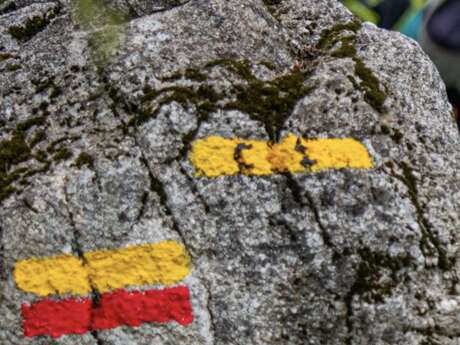 GRP® - Boucle du Franc Alleu - Etape 2 - De Champagnat à Peyrat la Nonière