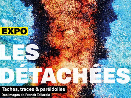 Exposition | Les détachées