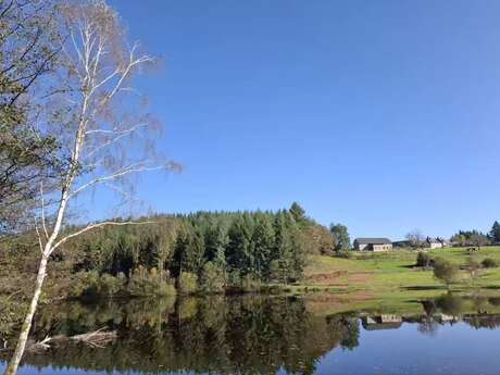 Etang du Domaine de La Romanée Sofia