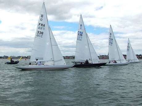 Voile Championnat Bananes