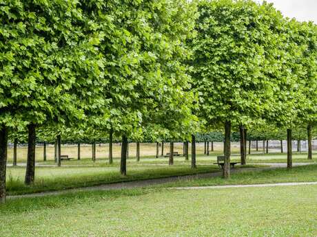 Basse-Plante du Musée national et domaine du Château de Pau