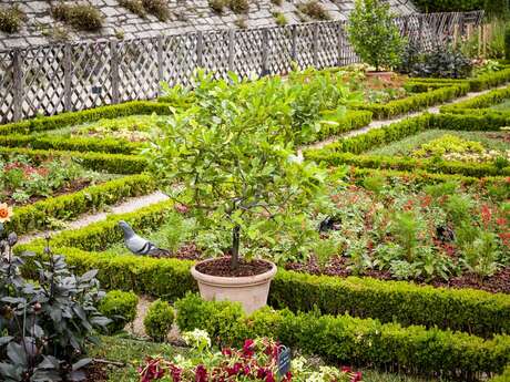 Jardins renaissance au Domaine national du Château de Pau