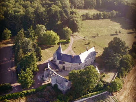 Château de la Roche-Martel